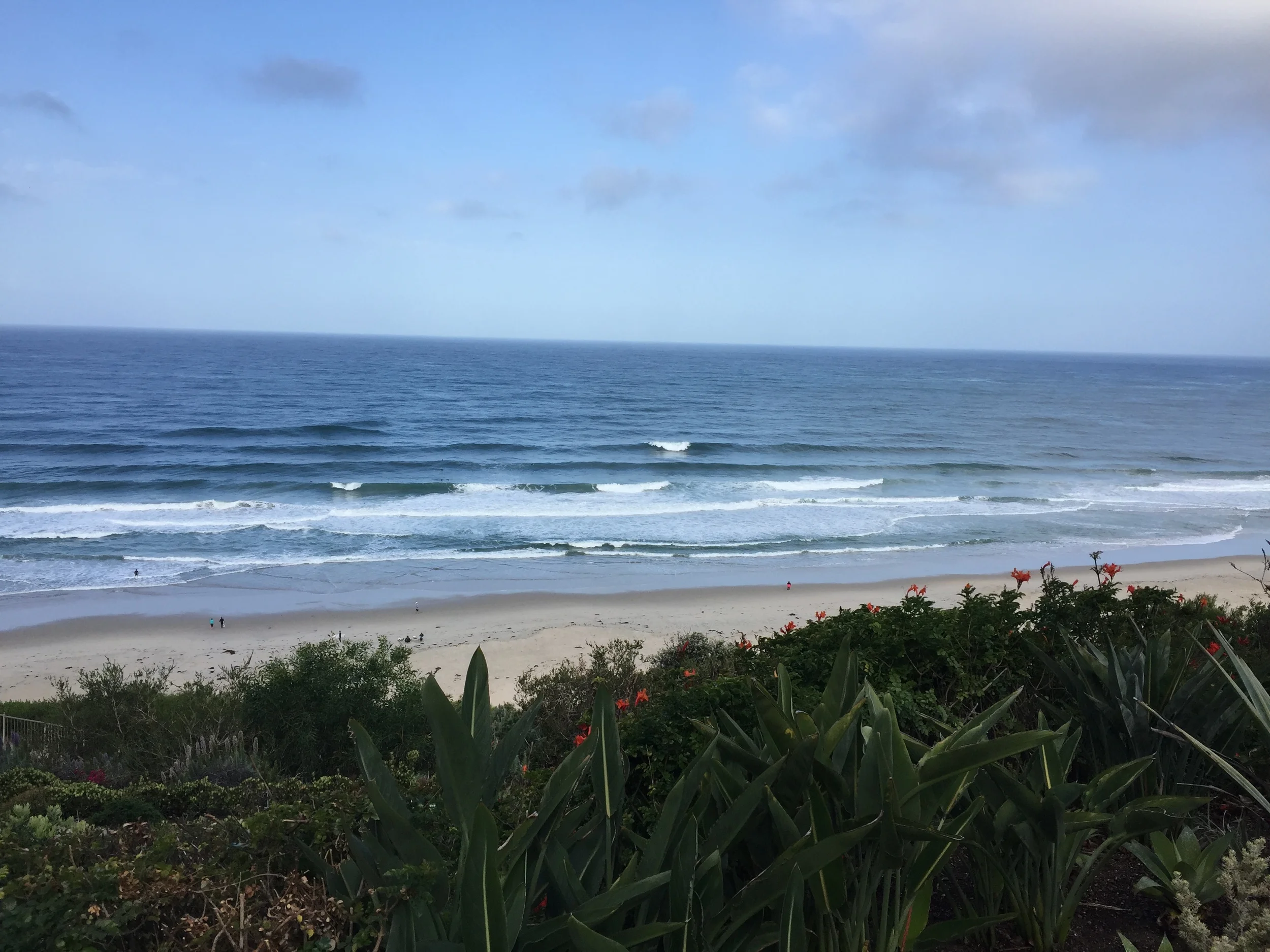 Conferencing. Life is good. 