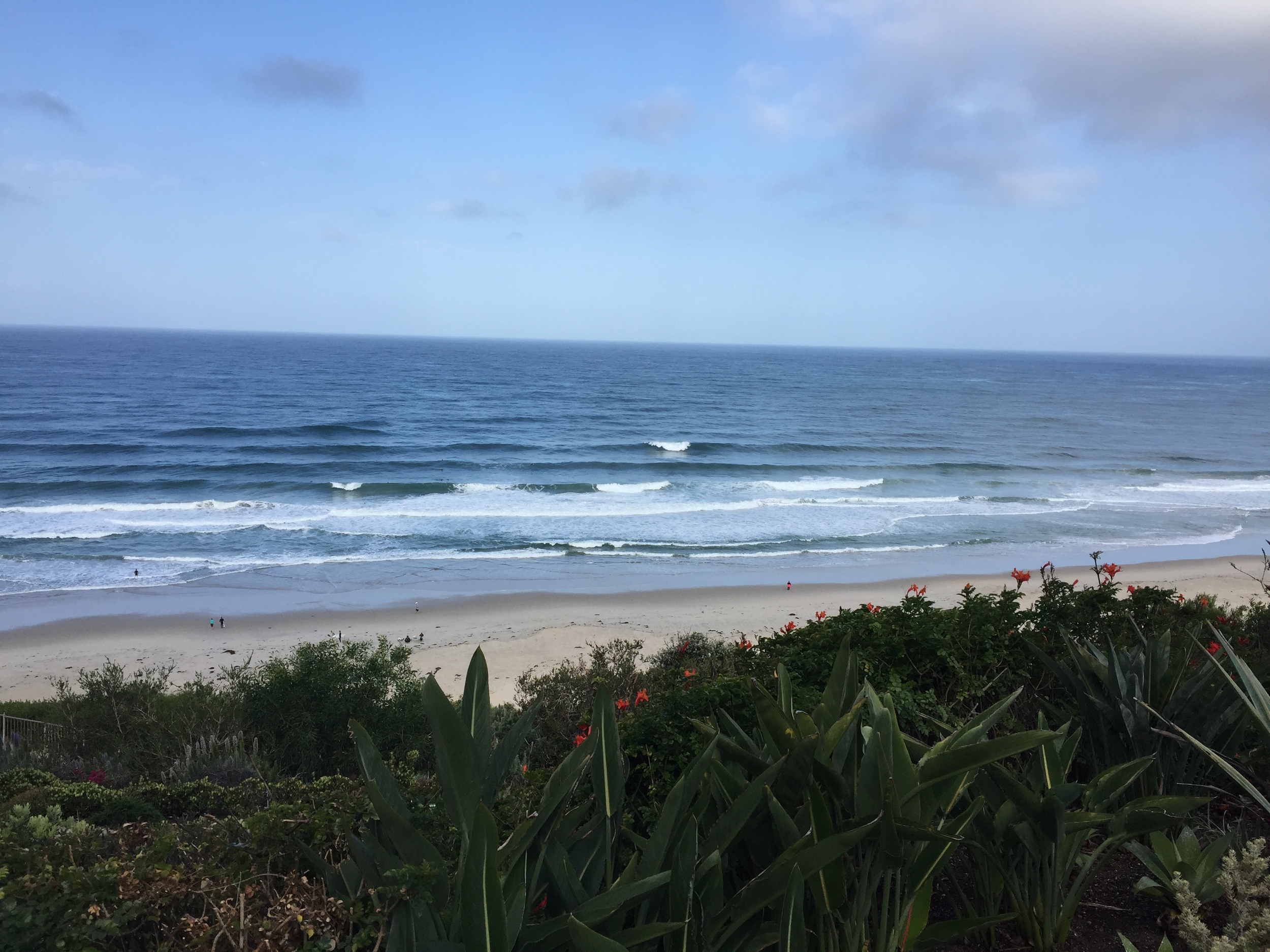 Conferencing. Life is good. 