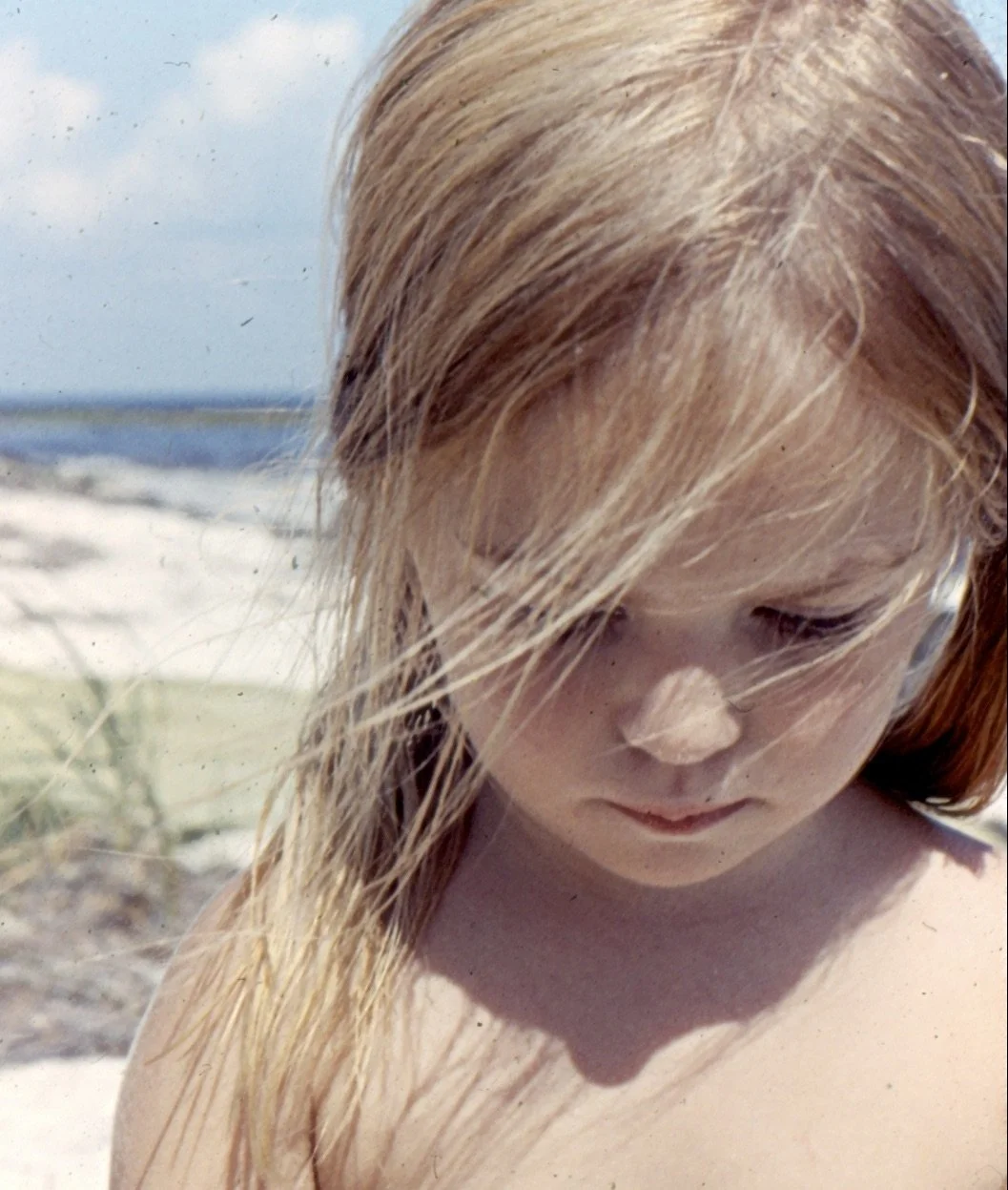 Tending Our Wounds: On Catherine Newman's Novel, Sandwich