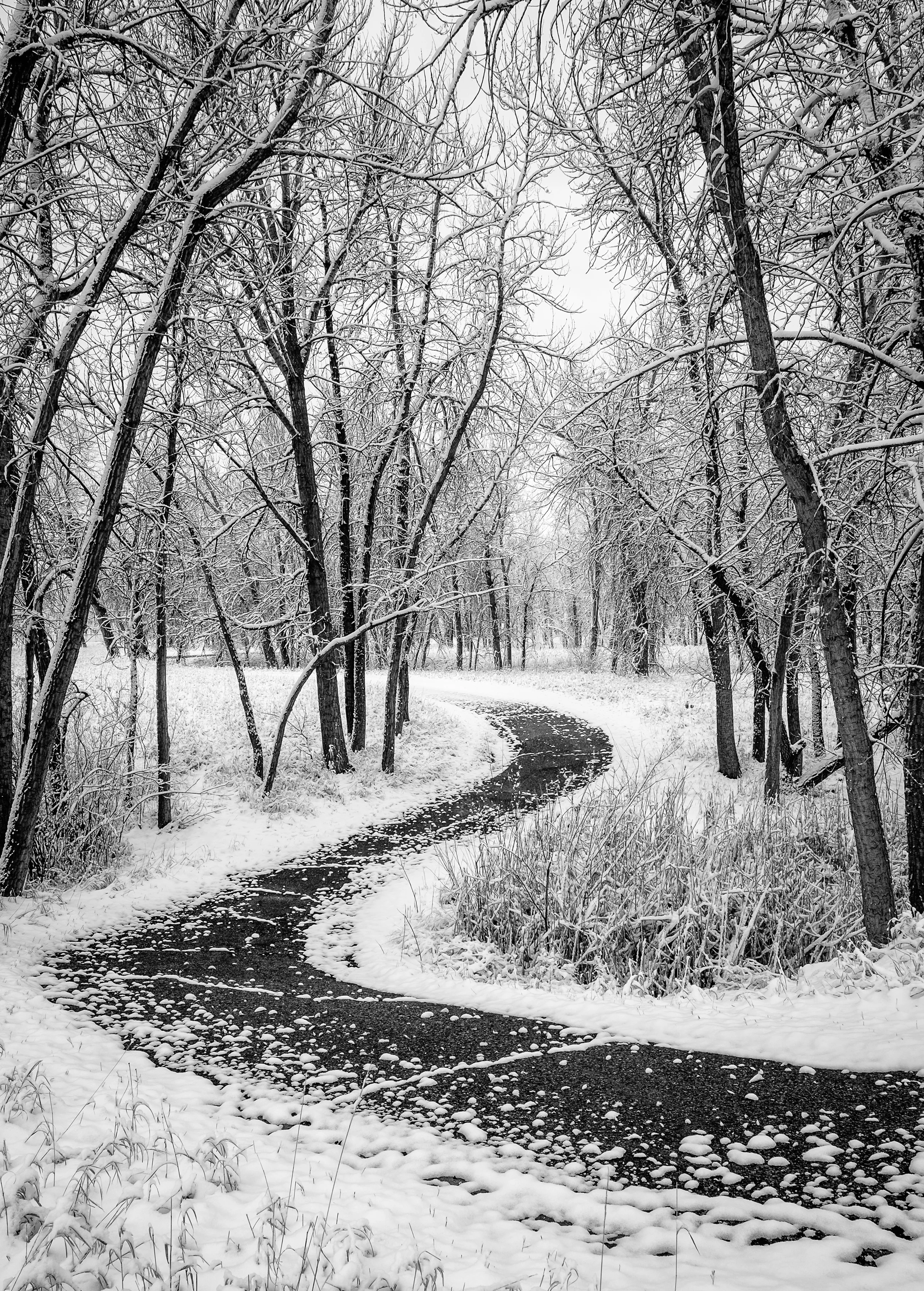 Snowy path