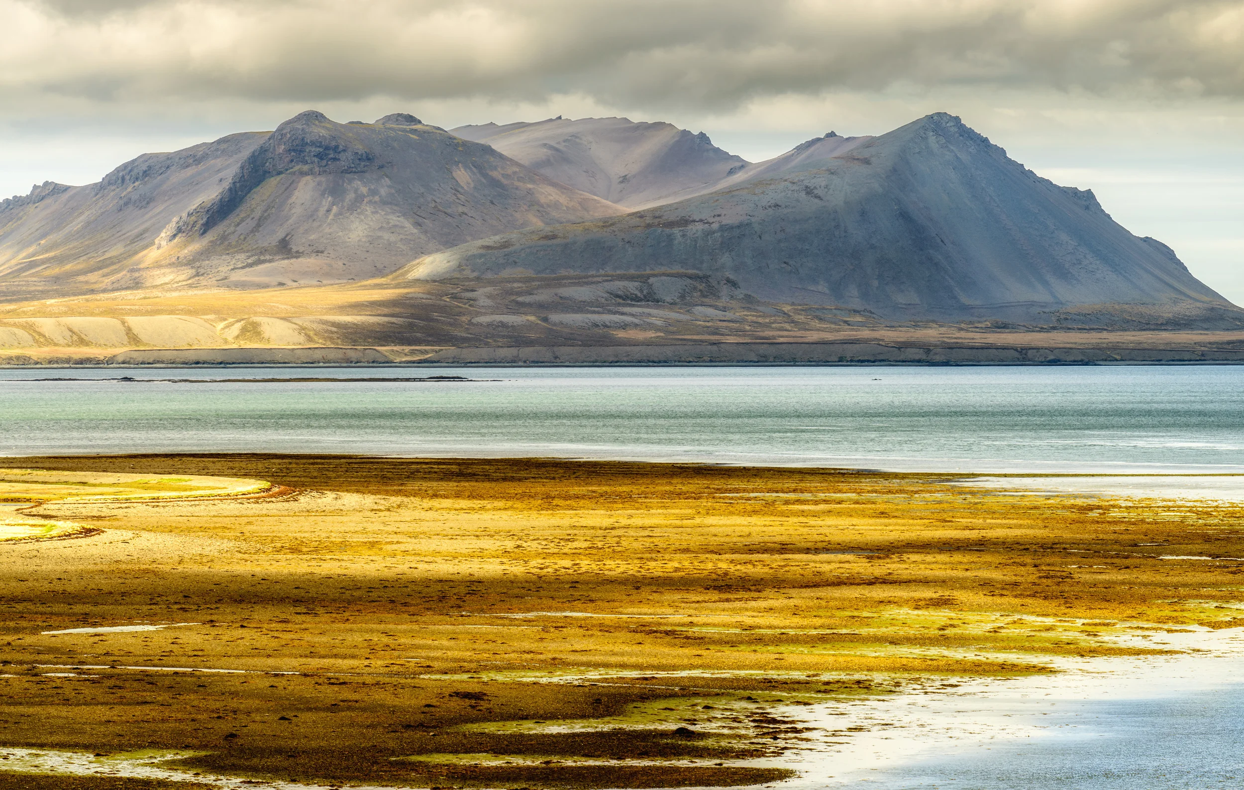 20160525-_BCM2462-Edit.jpg