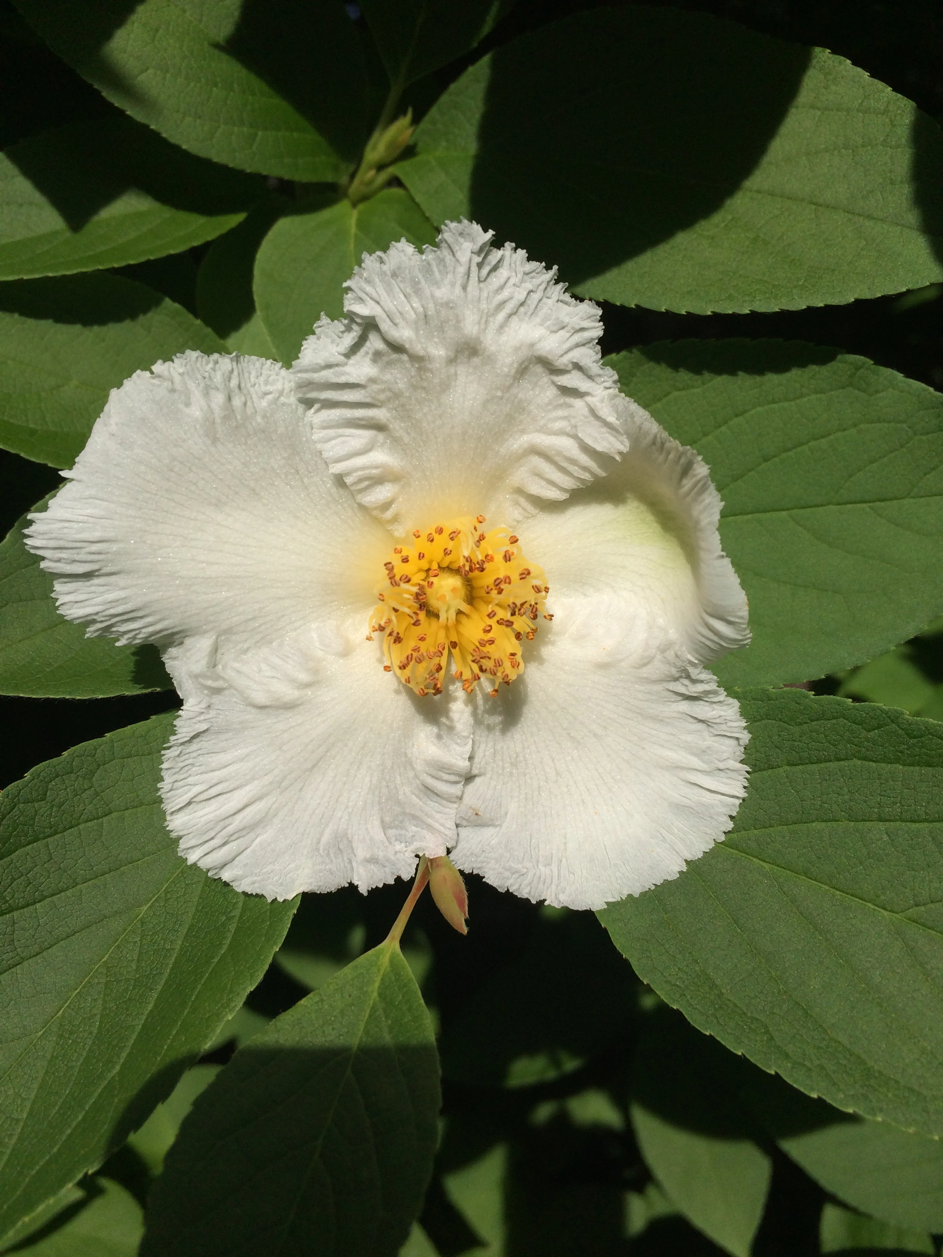 photo 5.JPG