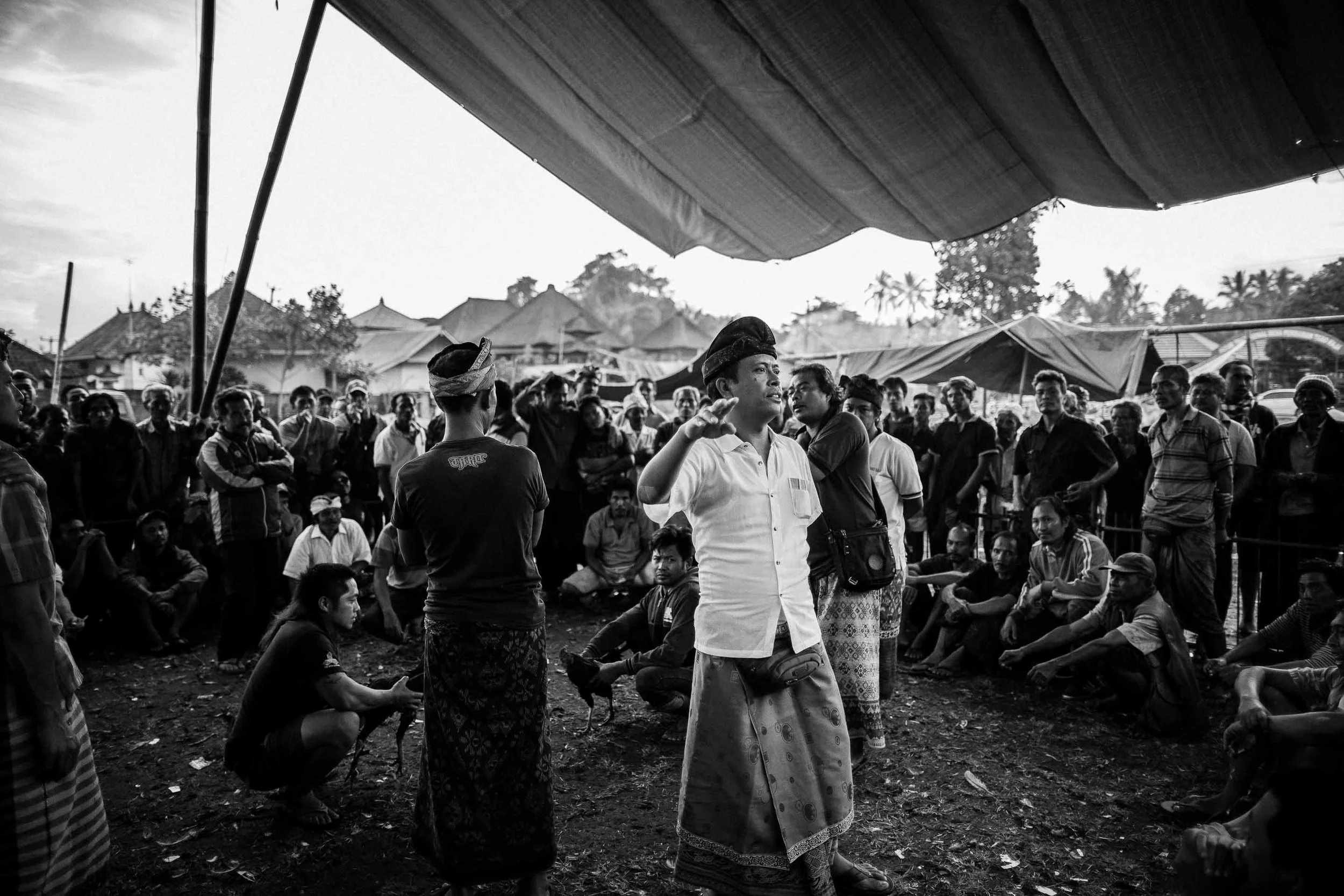 Tajen - Traditional cockfighting in Bali © Gareth Moon 2017