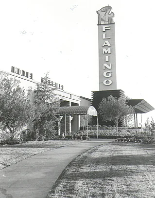 The Fabulous Flamingo Hotel