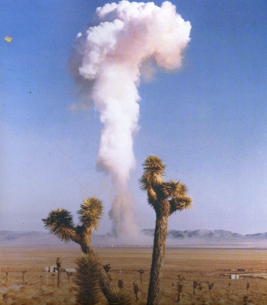 Mushroom Cloud