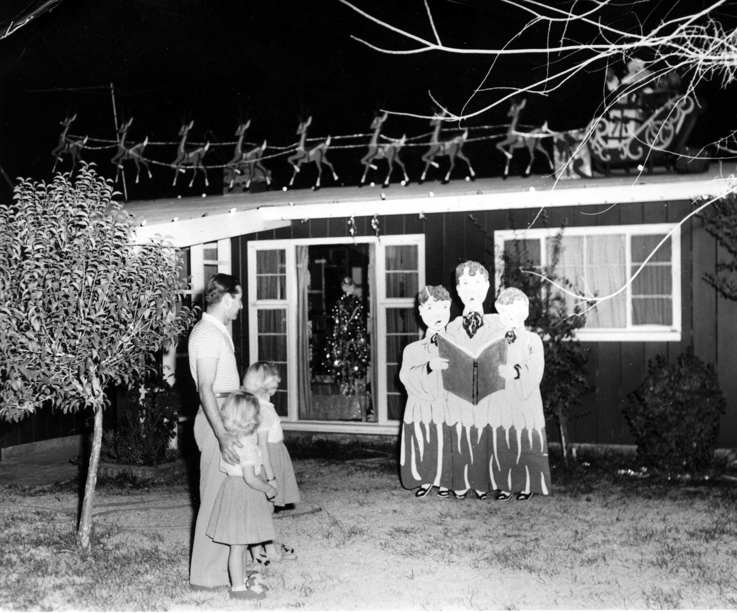 The Yard at Christmas.gif