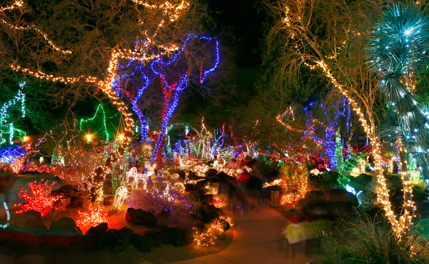 Cactus Garden at Ethel M