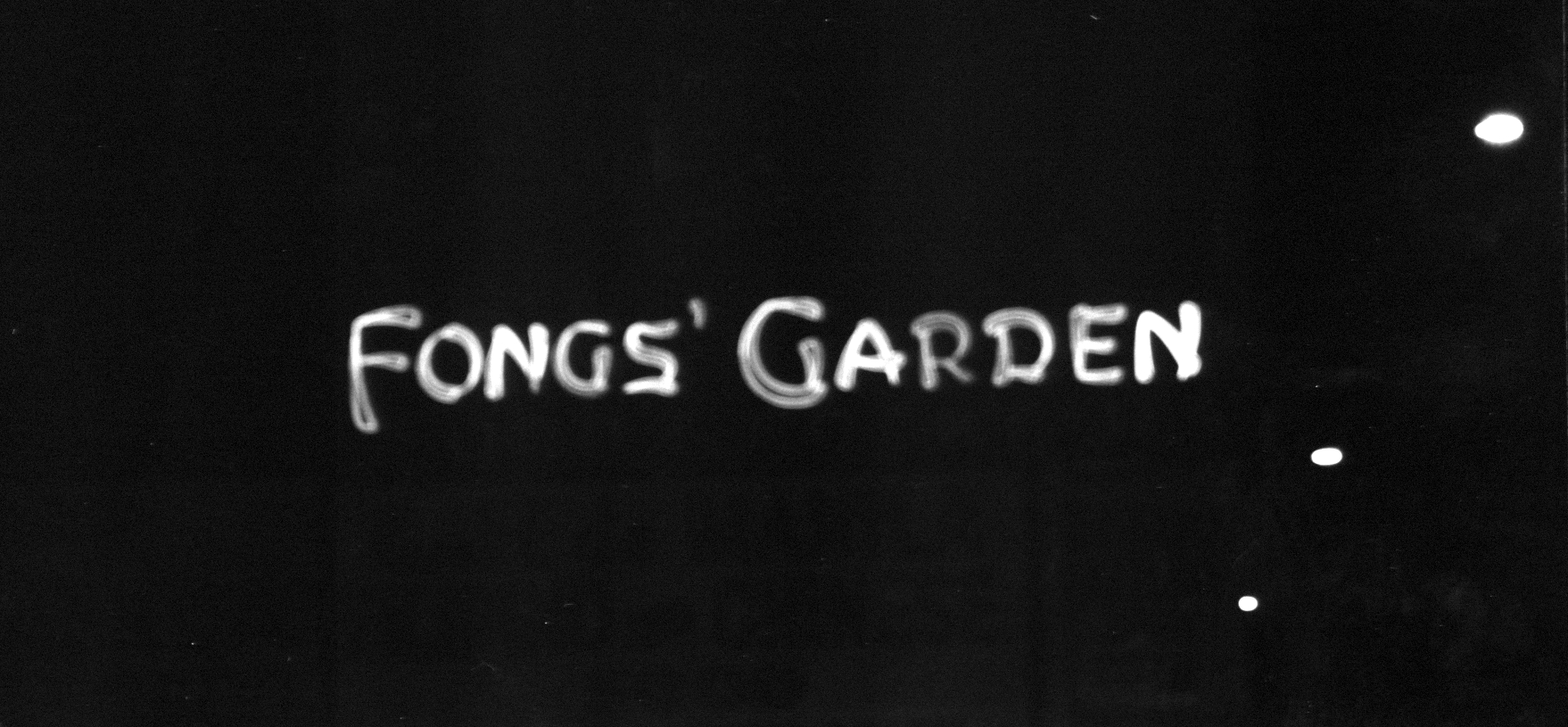 Fongs Garden.jpg