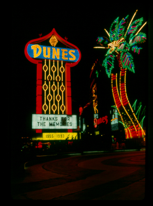 Dunes and Palm Tree.jpg