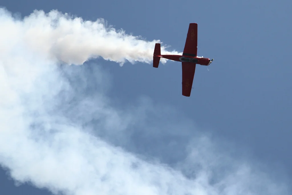 IMG_2065-XL.jpg