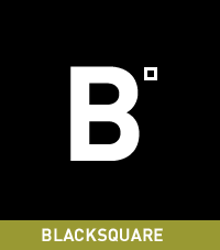 bs_logo.gif