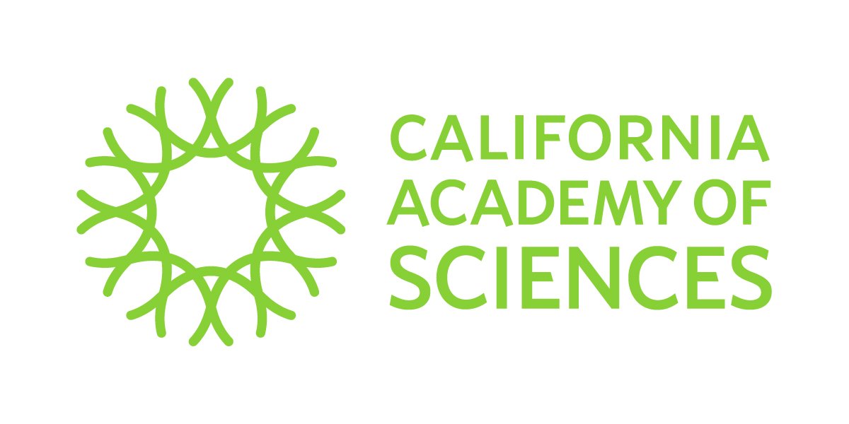 Academy_Logo-Horizontal-Academy_Green.jpg