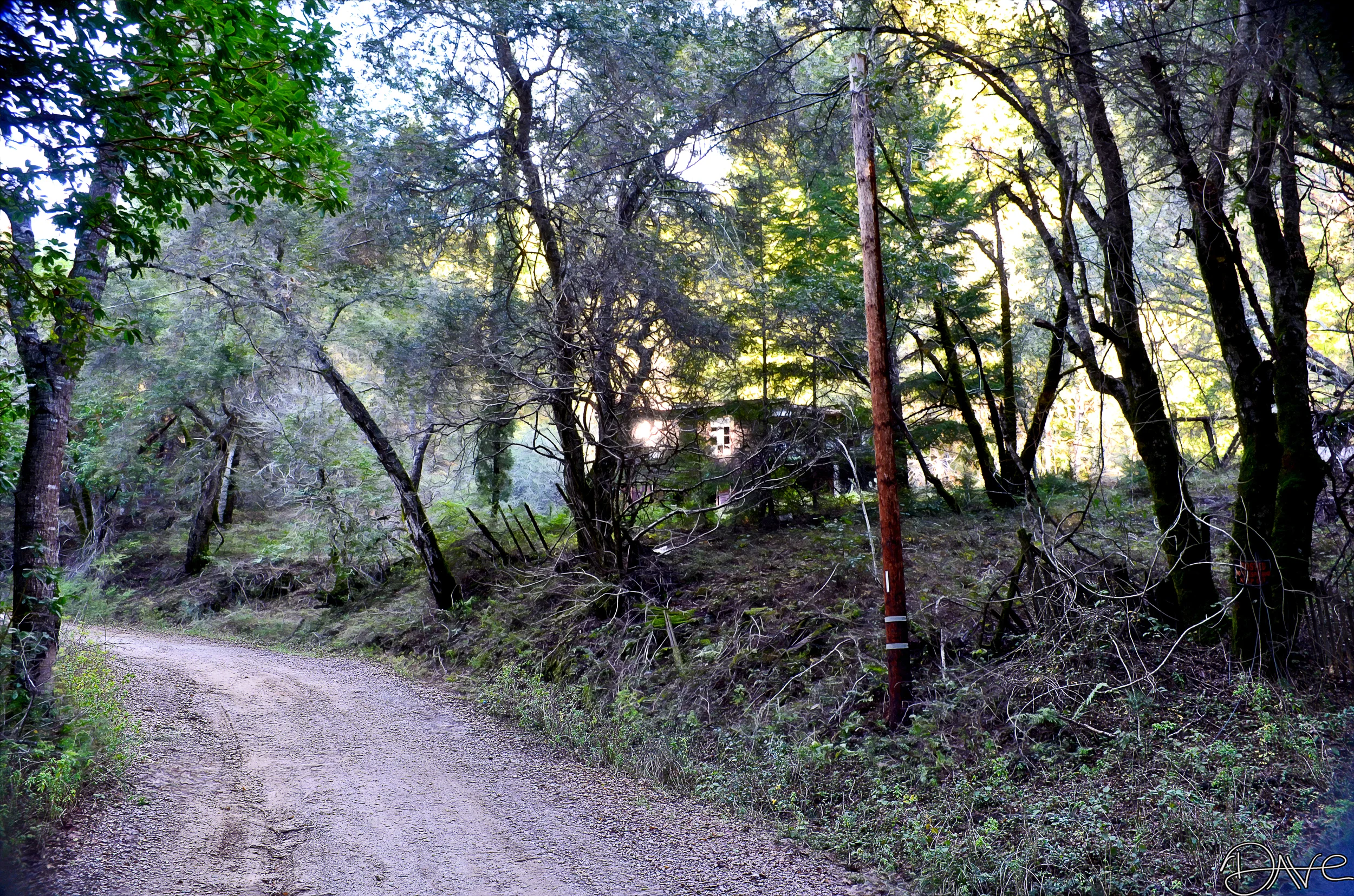 Old Jackson Cabin PD1.jpg