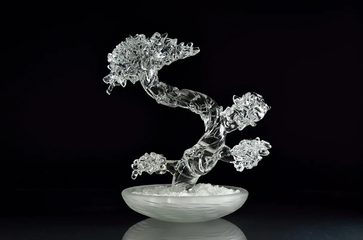 Alan Iwamura Bonsai 2015 
