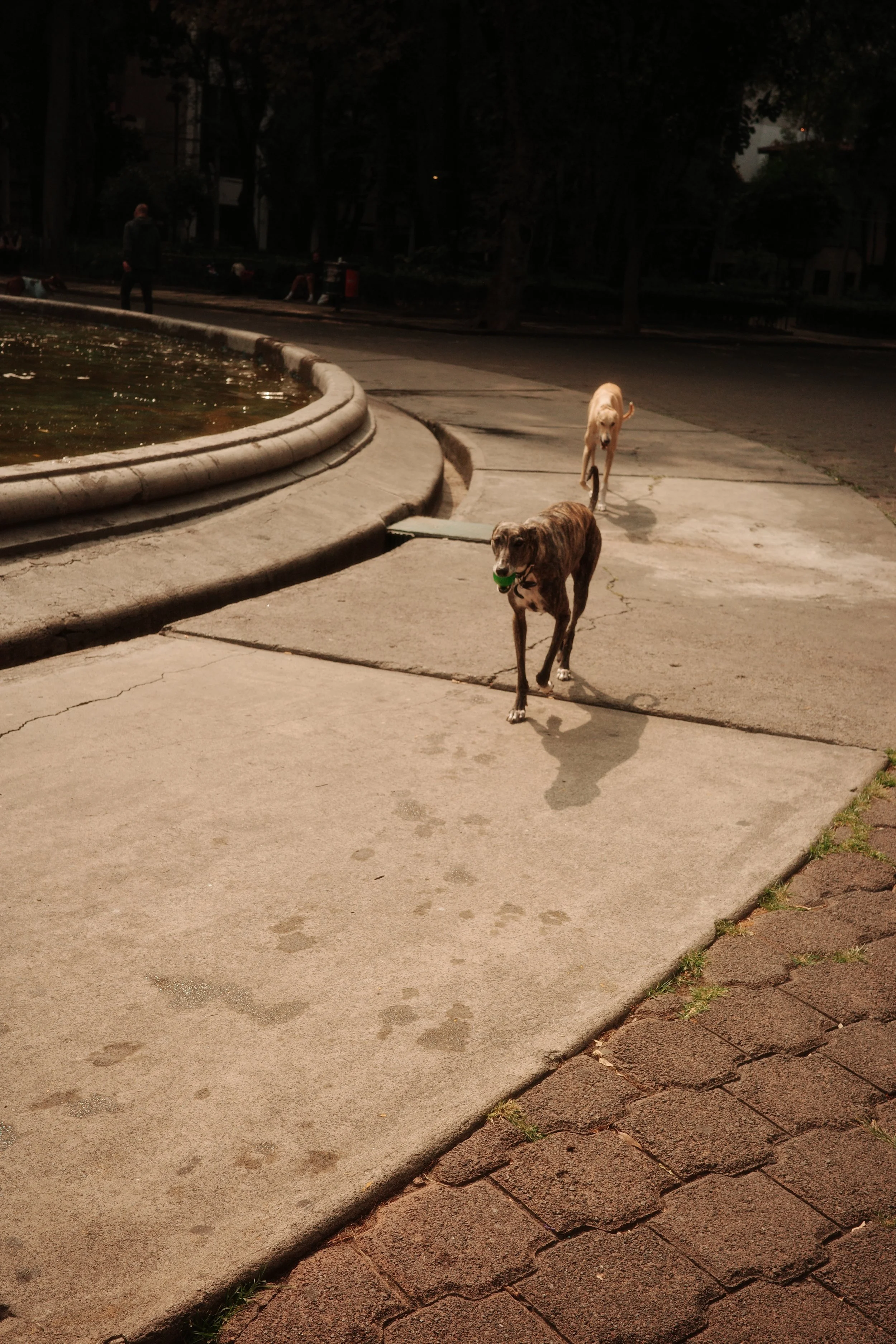 R0001560.JPG