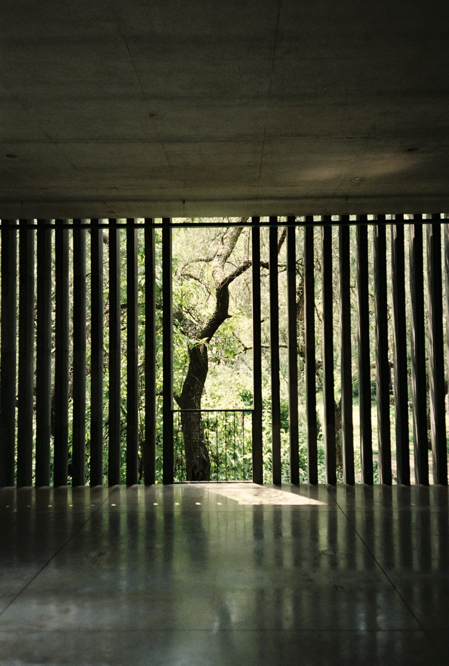 TESS953033418-R1-099.jpeg