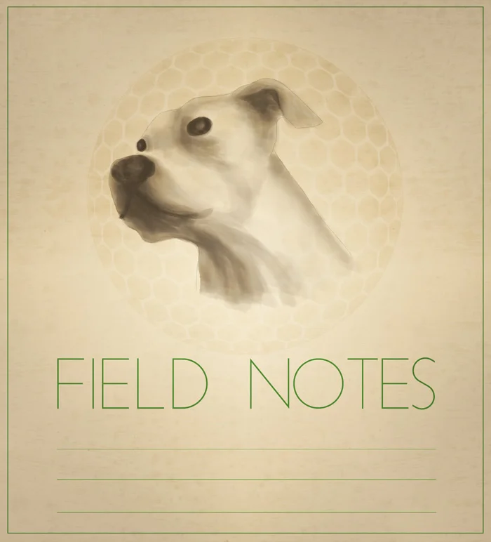 SR_fieldnotes2.jpg