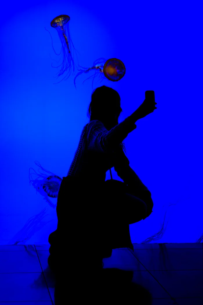 DSCF5365.jpg