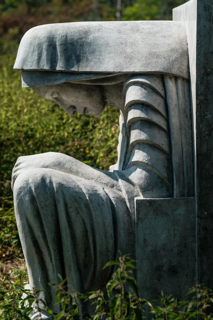 DSCF7146.jpg