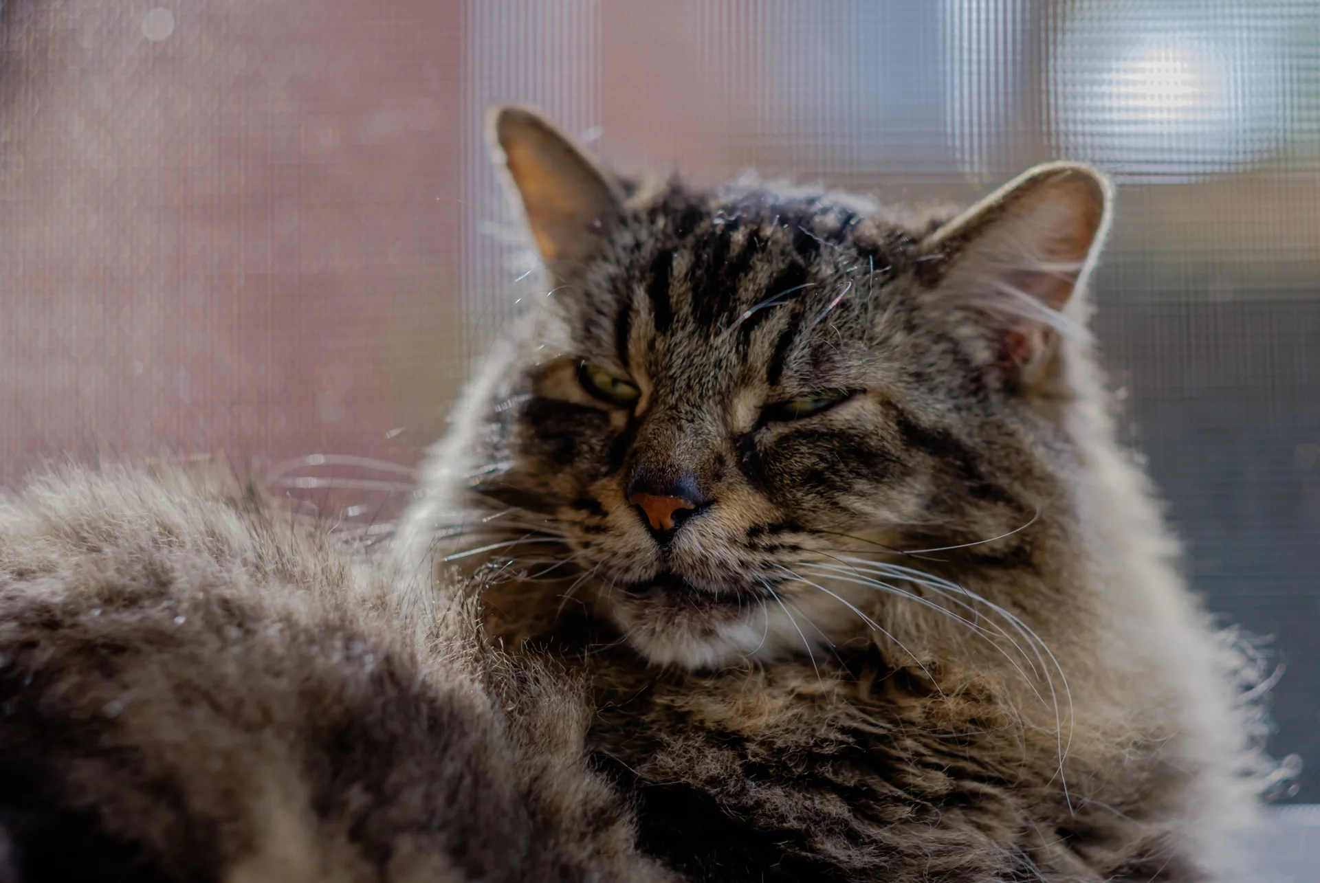 DSCF6503.jpg