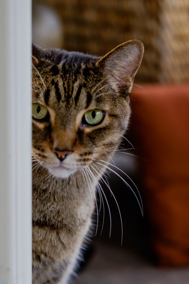 DSCF6543.jpg