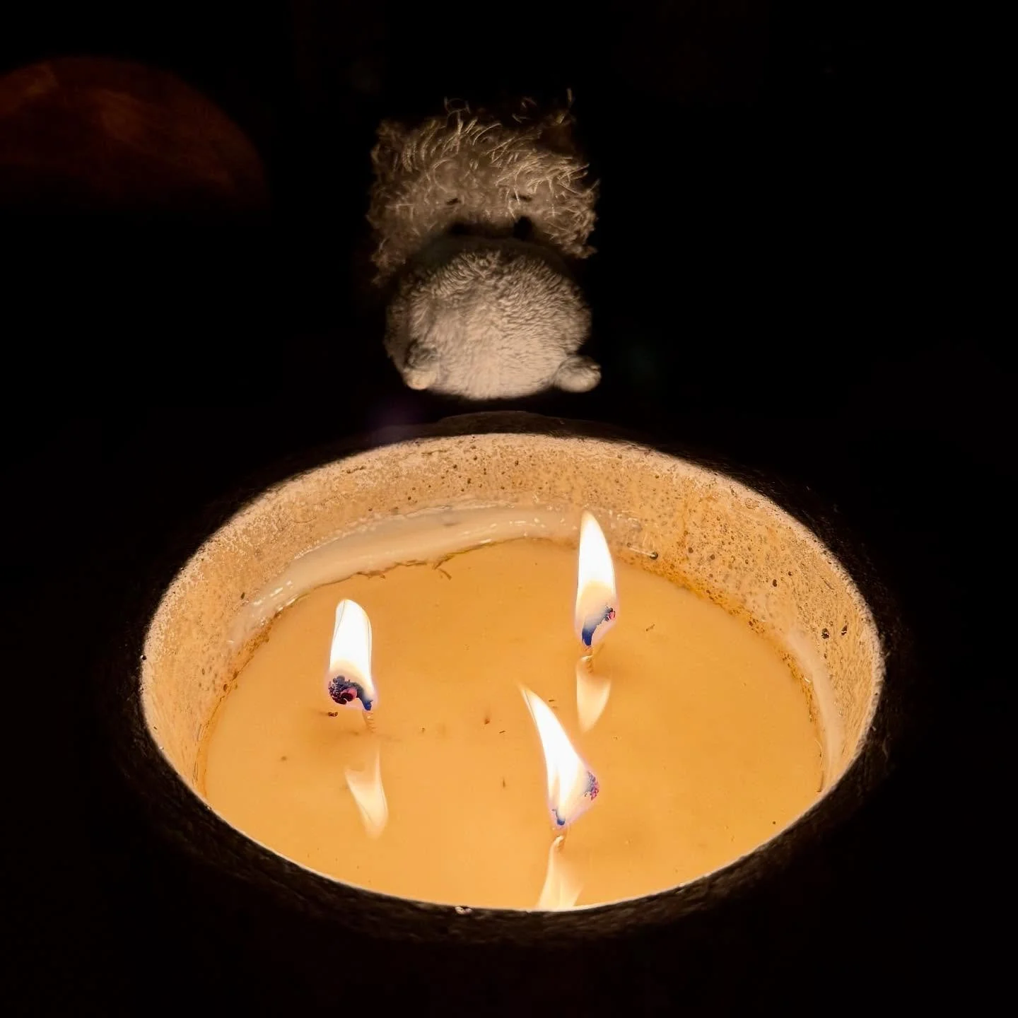 Yule fires were lit, burned bright until sunrise.

#BlessedYule
#AdventuresOfPonyboy