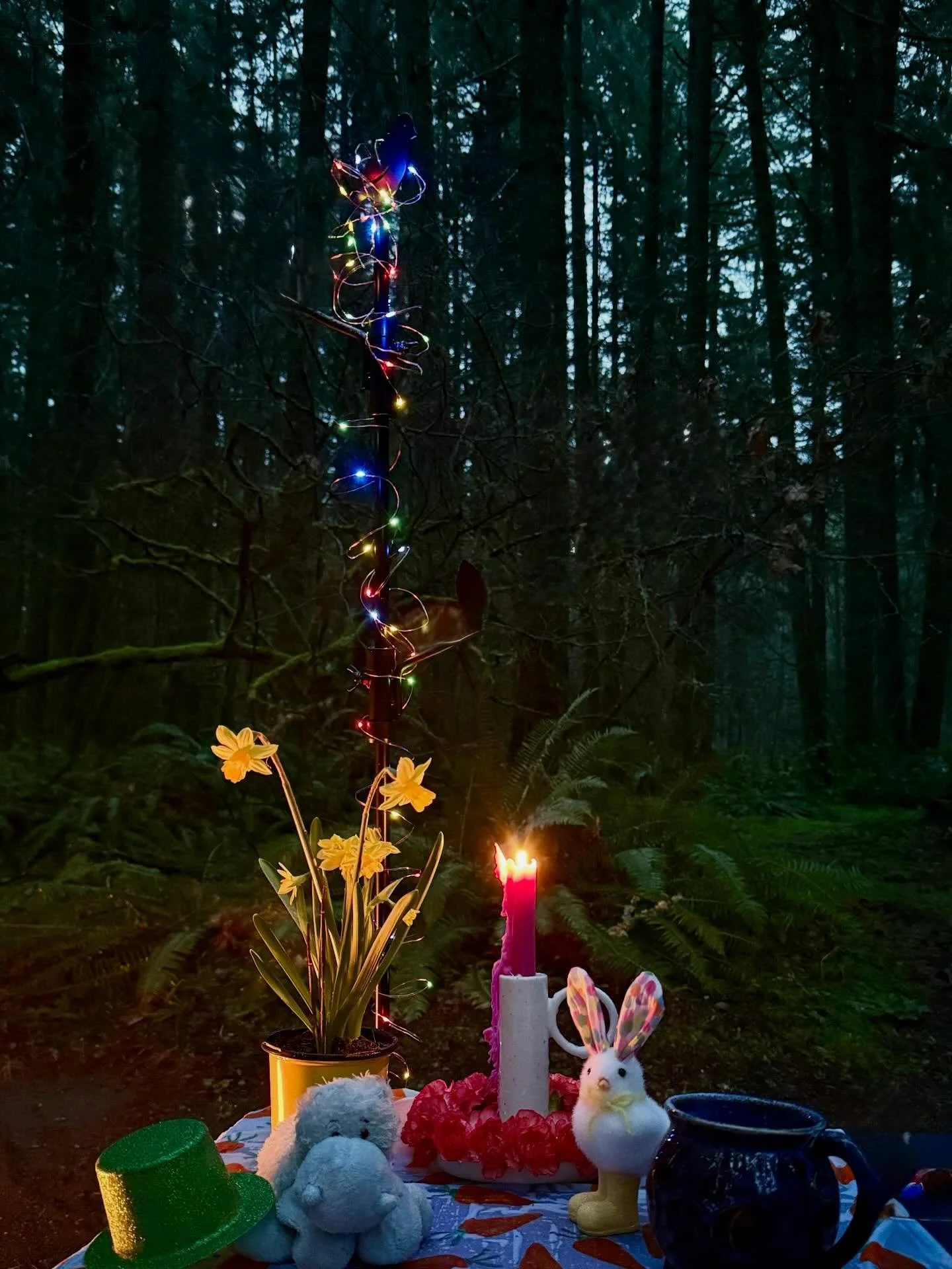 Ostara camping trip was blessedly off grid. No news of the messed up world. No social media. No texting. Just me and a big brown van and a little blue hippo.

I listened to Fellowship of the Ring, made corn beef &amp; cabbage and champ, watched the e