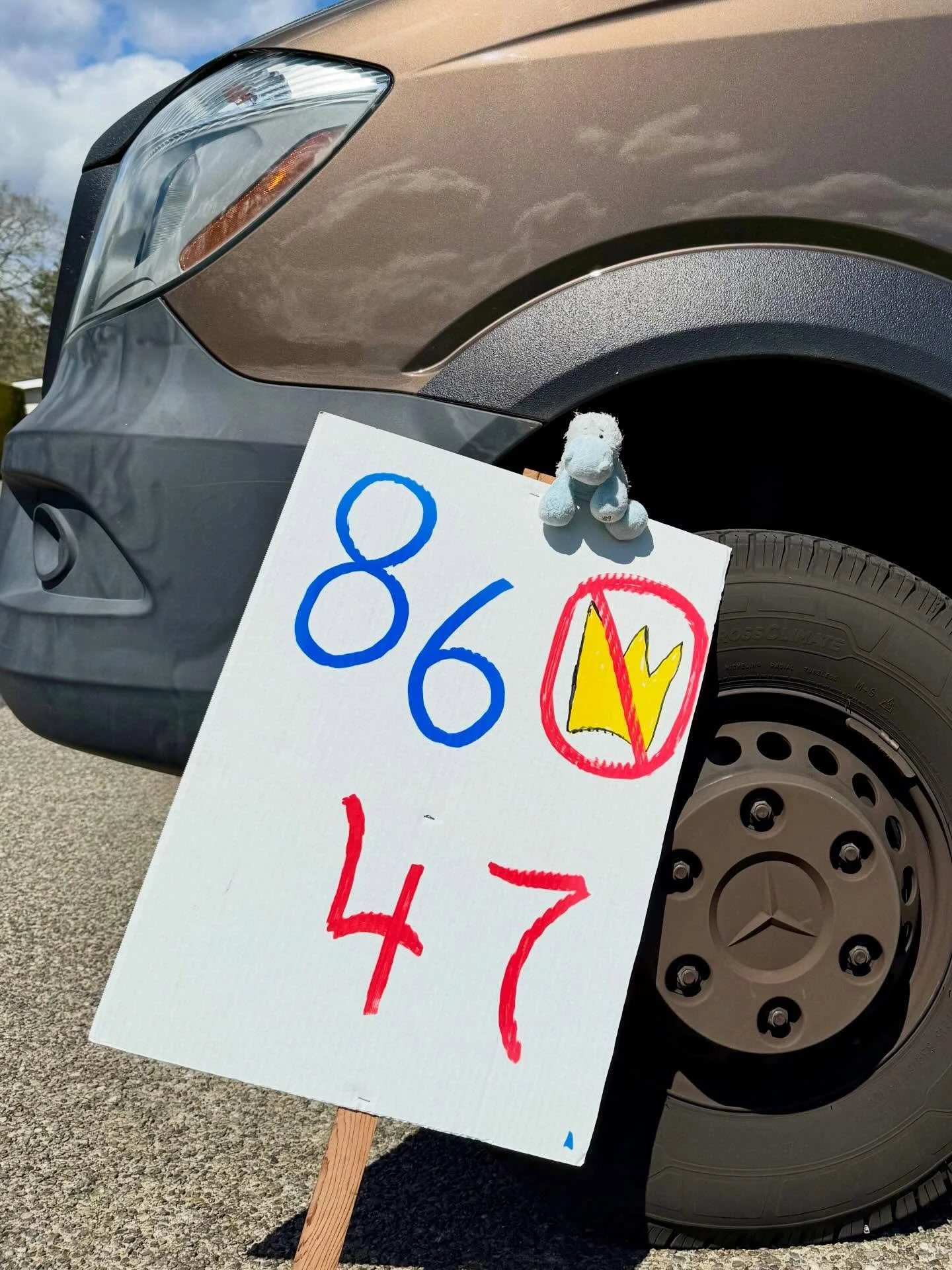 🚫👑

#NoKings 
#AdventuresOfPonyboy 
#SerenitySoars