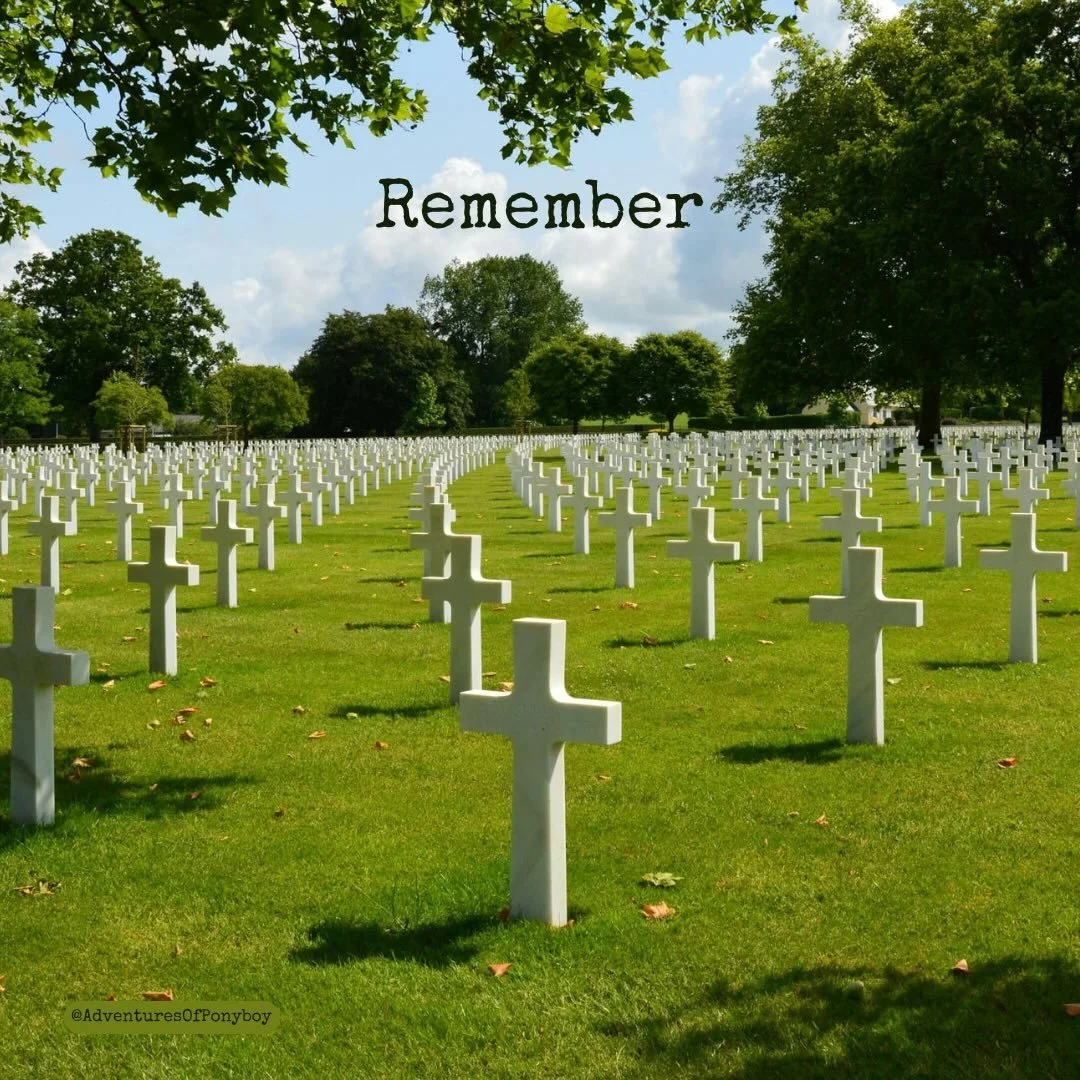 D-Day Anniversary 1944-2026 
🇺🇸🇫🇷🇬🇧🇨🇦🇦🇺🇧🇪🇨🇿🇬🇷🇳🇱🇳🇿🇳🇴🇵🇱🇿🇦
#remember #history