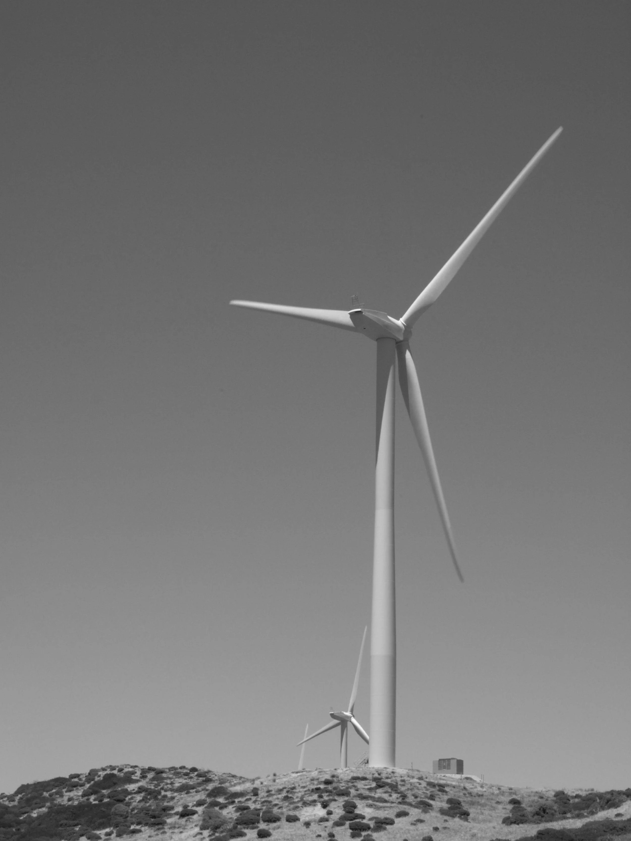 windmill.jpg