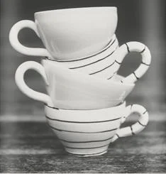 ecostore_dishwash.jpg