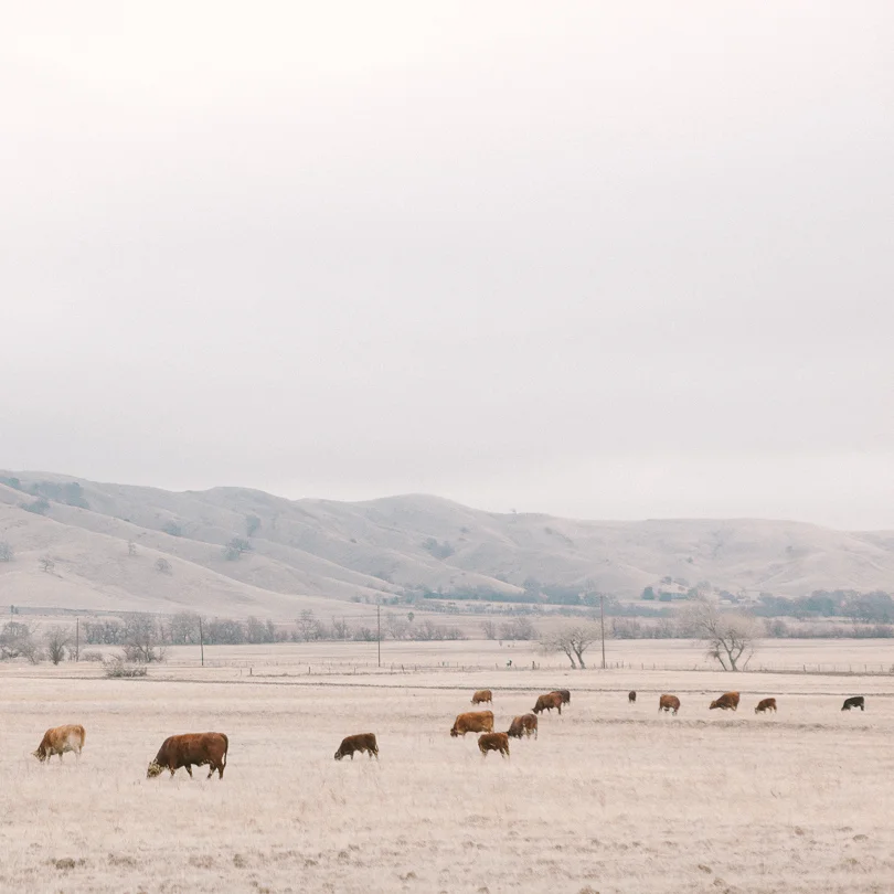 0002_RR01.11.14.jpg
