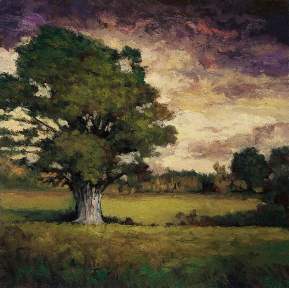 Clearing After a Storm 11x11 5174.jpg
