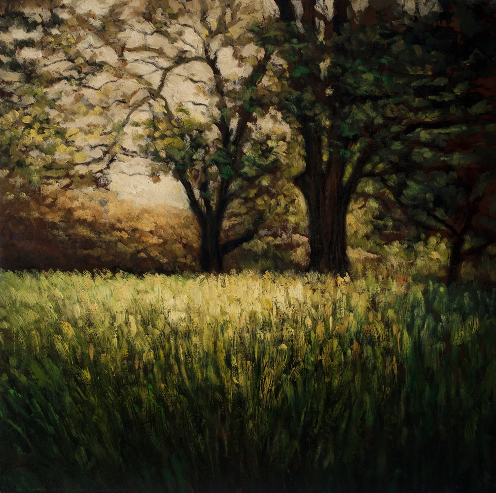 Morning Meadow 12x12 5297.jpg