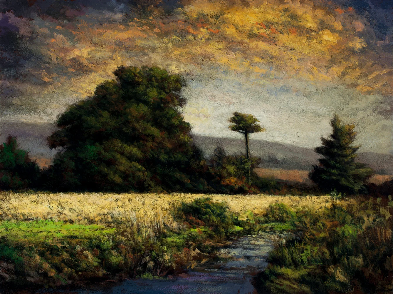 Stream through the Meadow 12x16 5852.jpg
