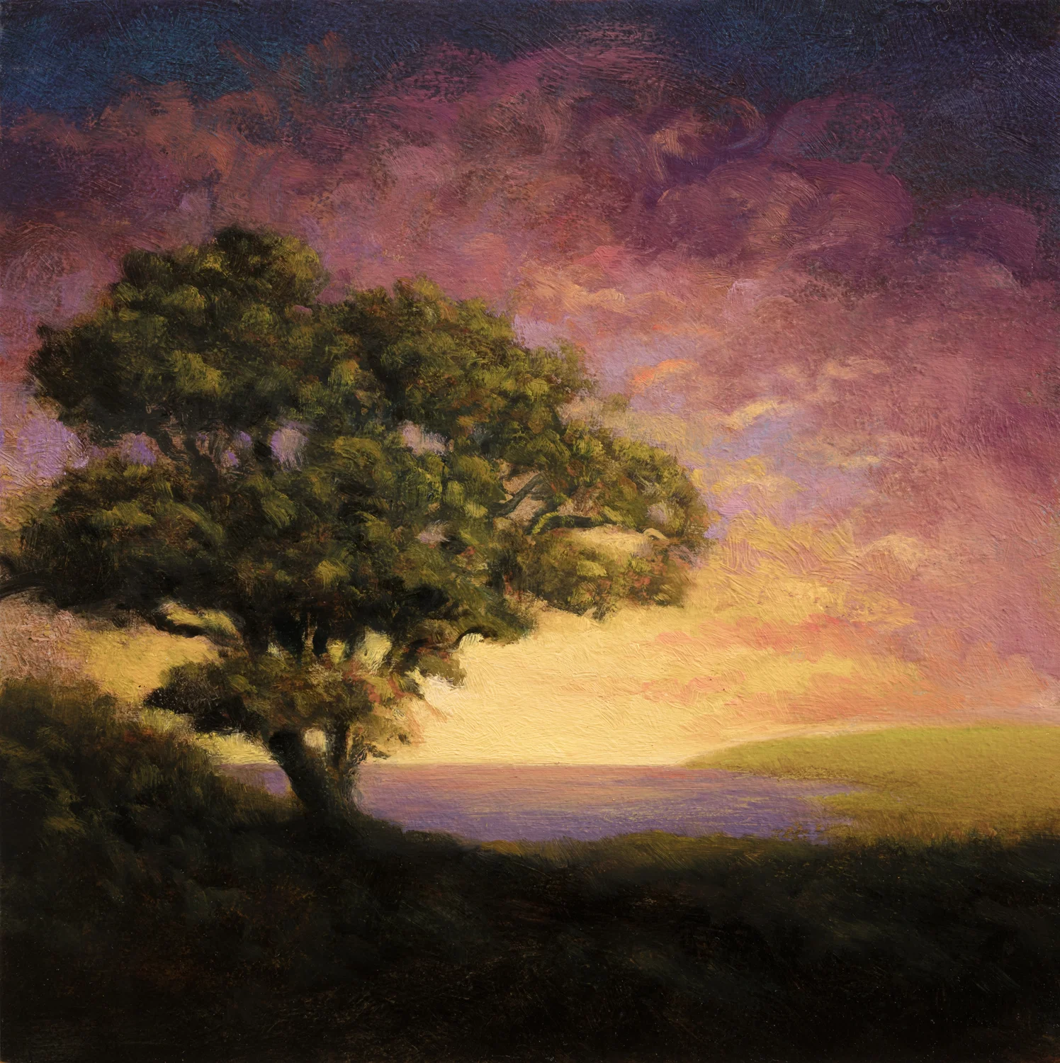 Afternoon Glow by M Francis McCarthy - 8x8 Oil on Wood Panel