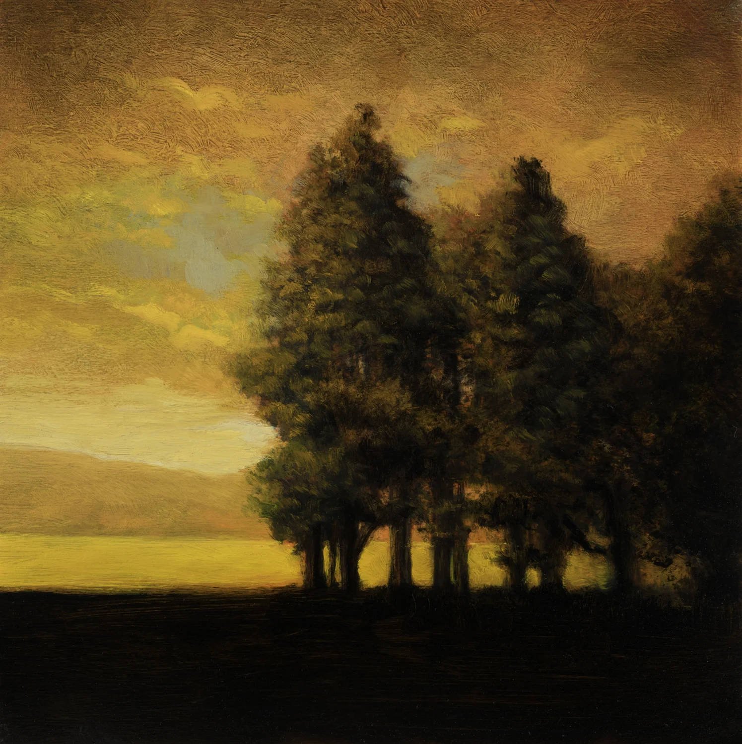 Morning Copse by M Francis McCarthy - 8x8 Oil on Wood Panel