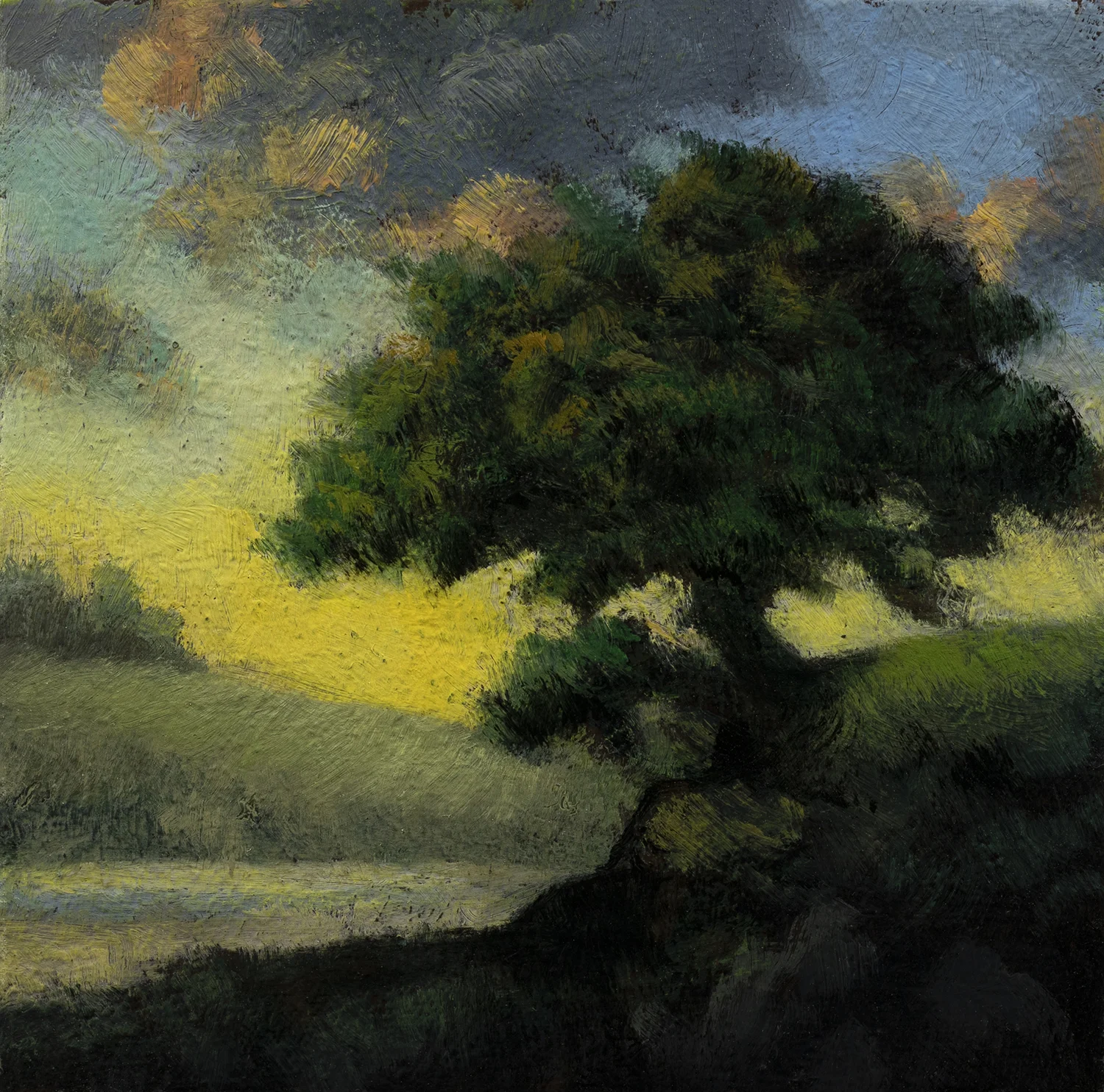 Tree over the Inlet by M Francis McCarthy - 3½x3½ Oil on Wood Panel