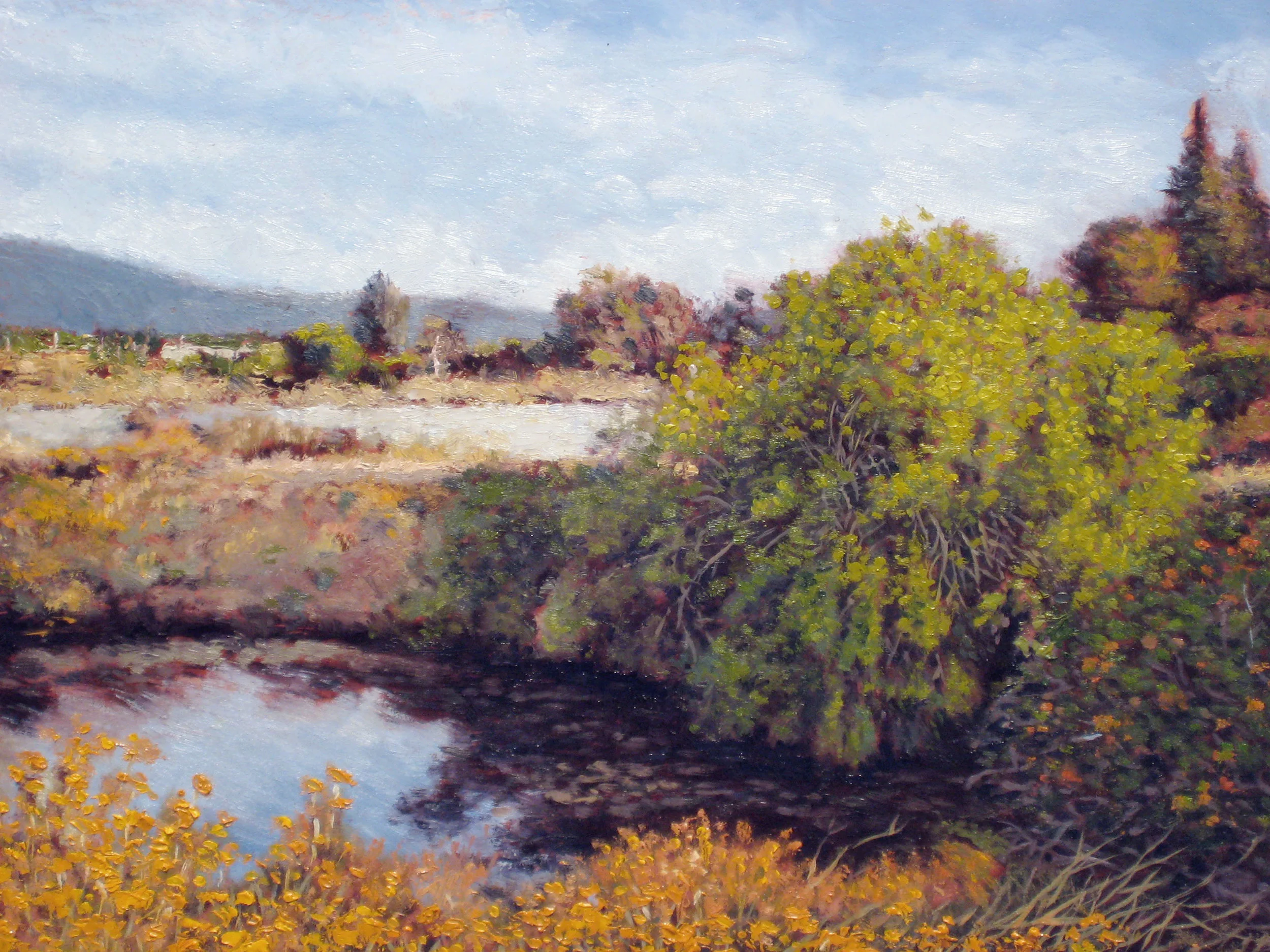 LG-Trail-Pond.jpg