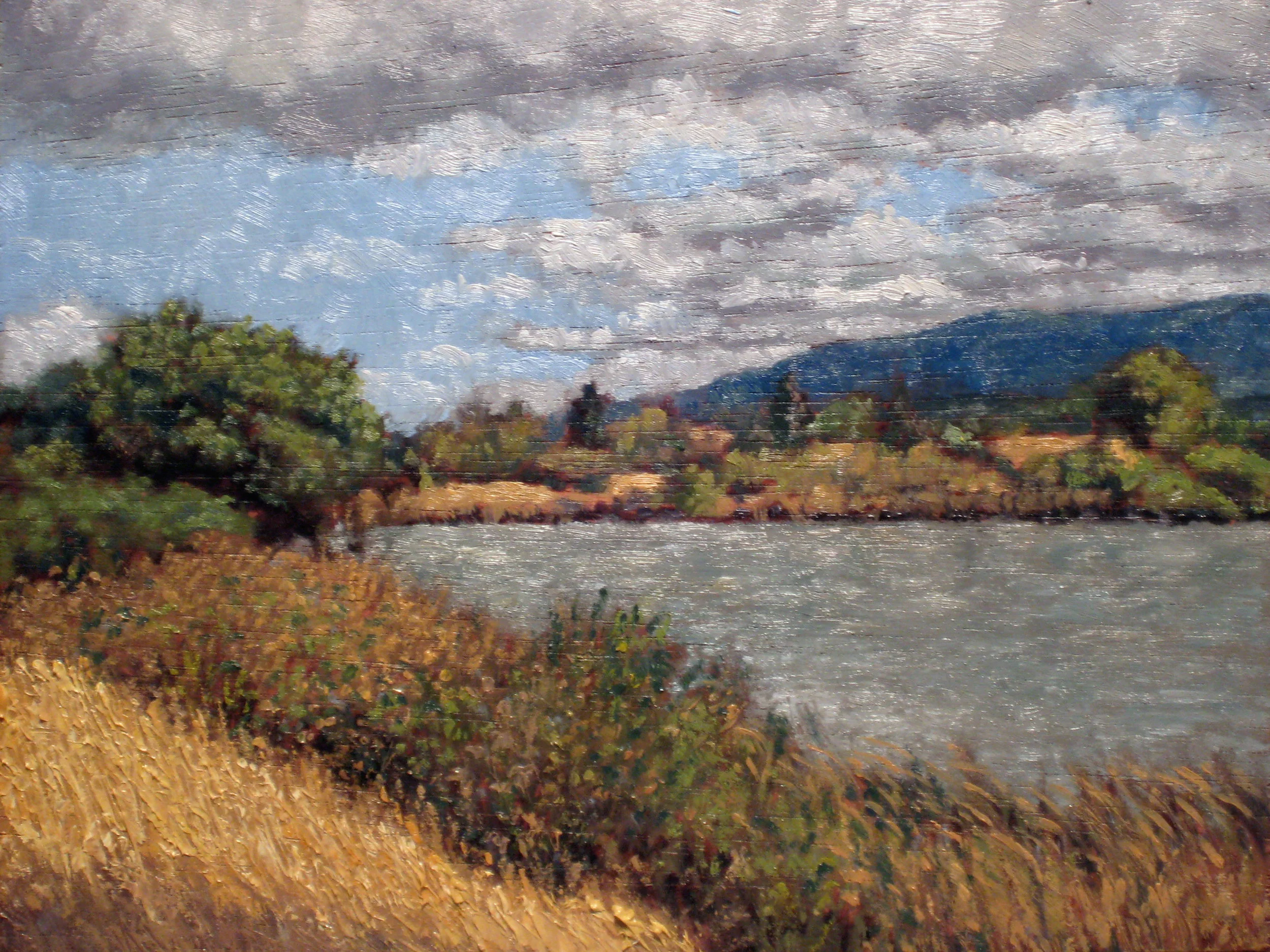 Cloudy-Day-Pond.jpg