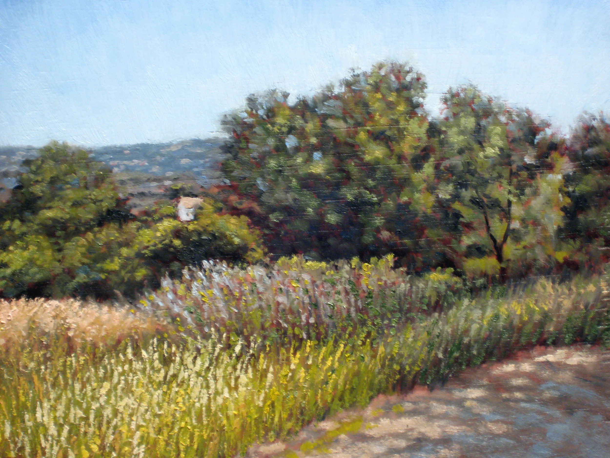 View from Quicksilver.jpg