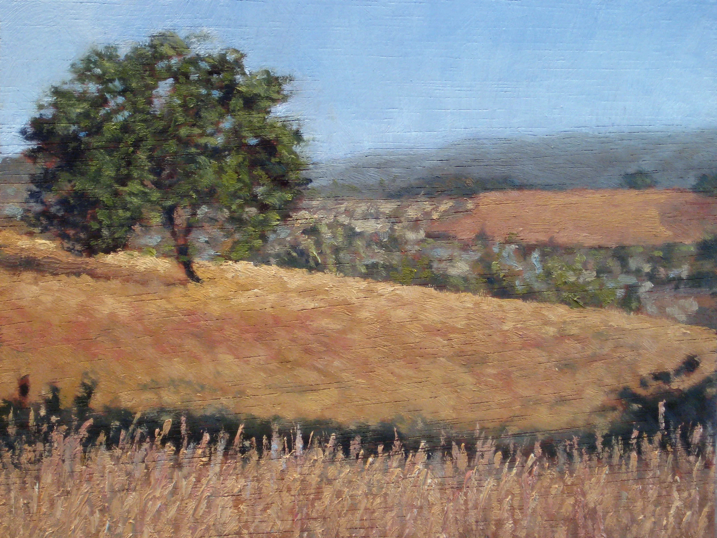 Quicksilver-Morning-Oak.jpg