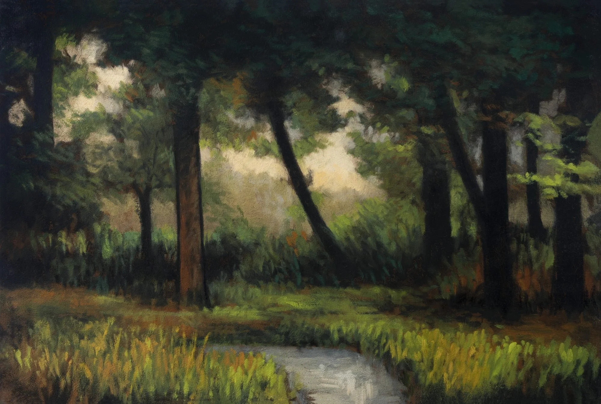 Edge of the Wood 12x18 1J4A1384.jpg