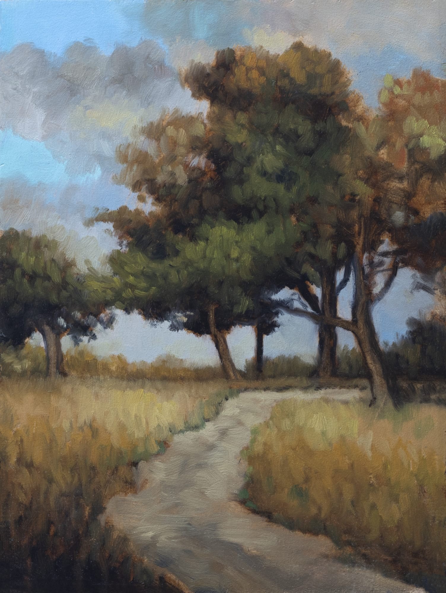 Summer Path 6x8.jpg