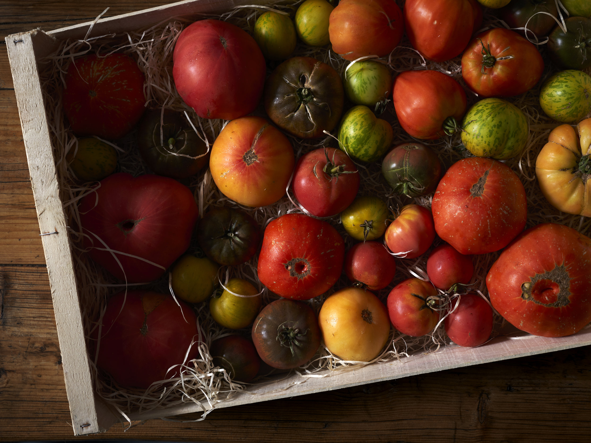 Tomatoes retouched.jpg