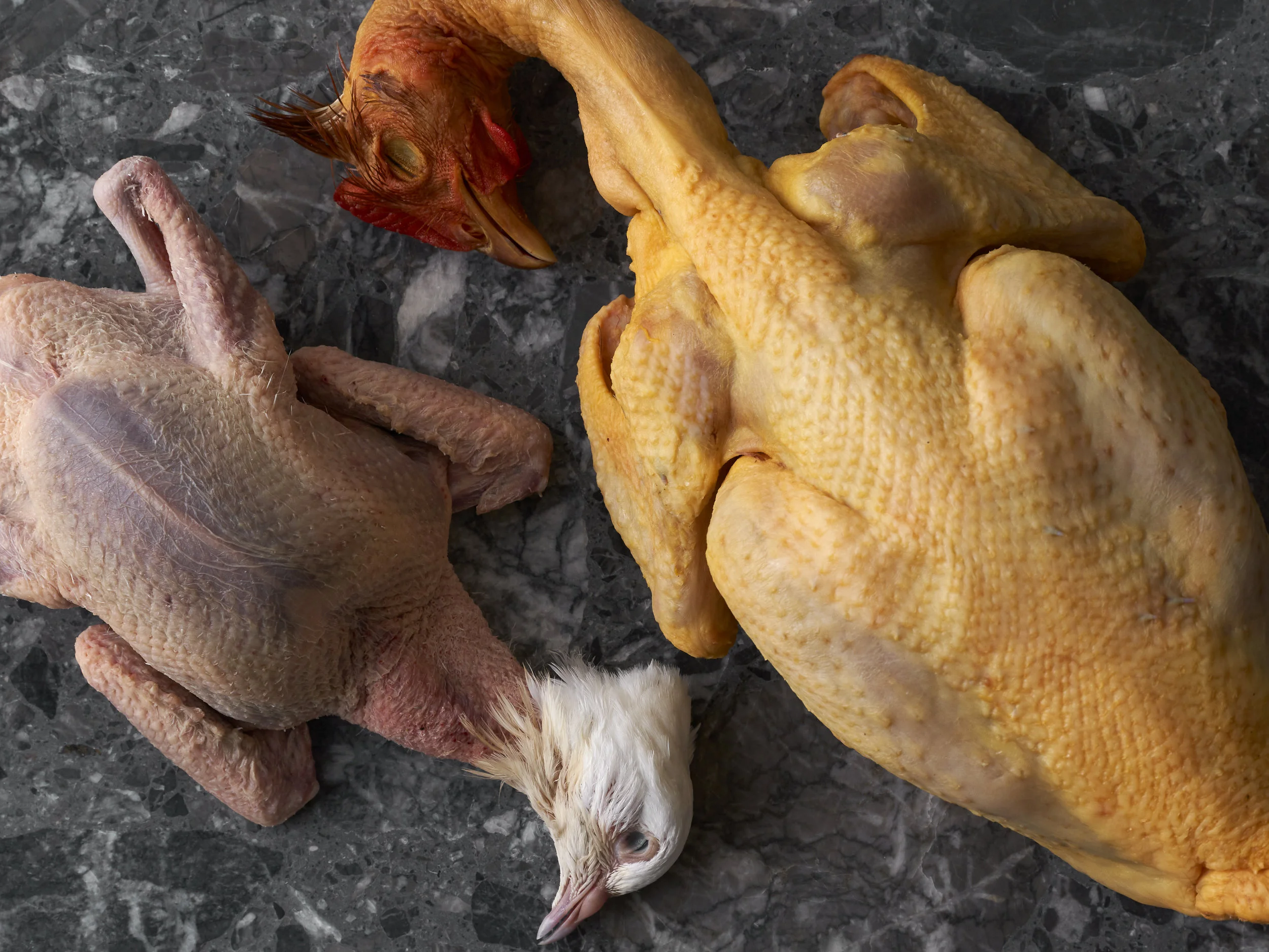 Landais Chicken 