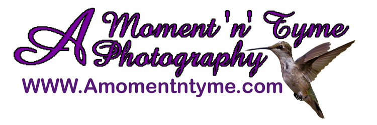A Moment 'n' Tyme Photography