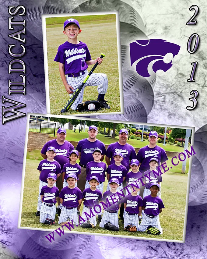 wildcats6.jpg