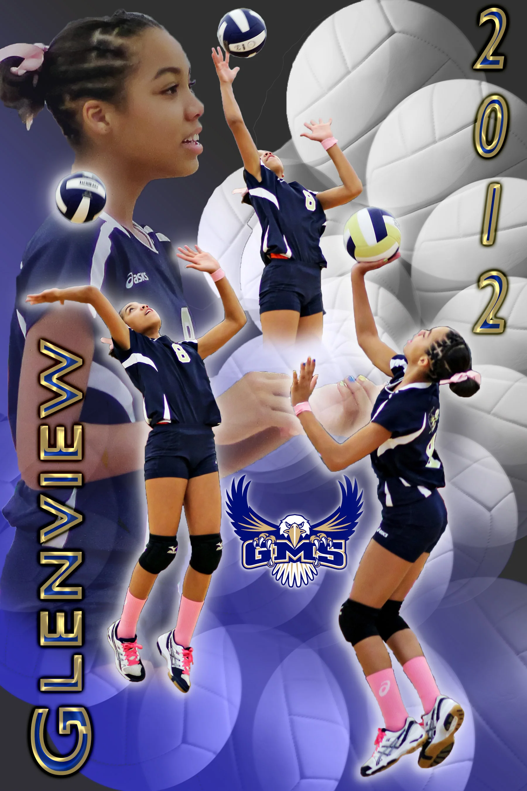 BasicVolleyball_12x18glenview8C.jpg