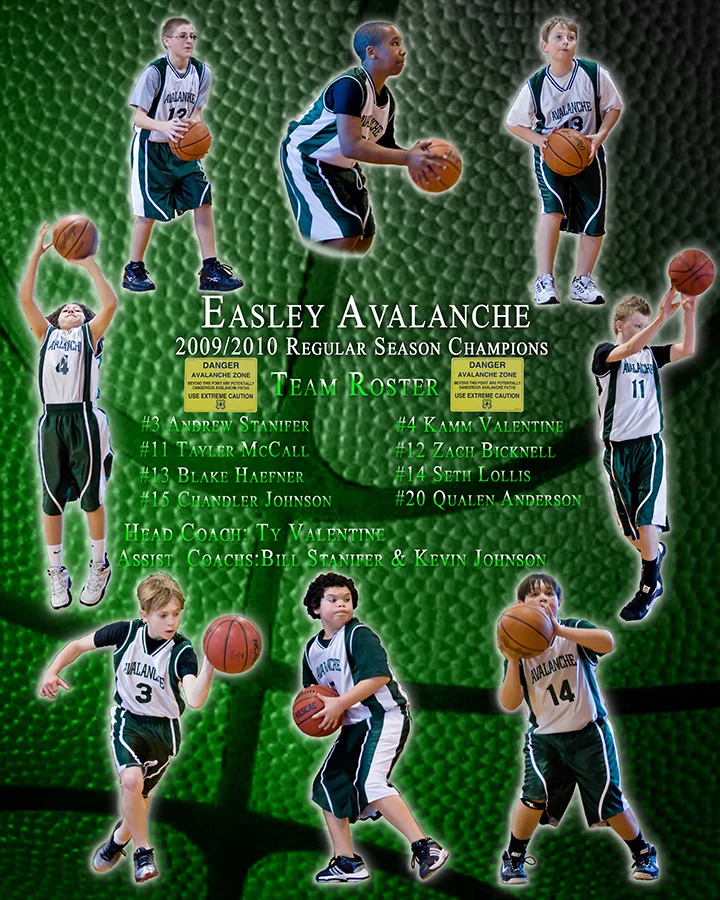 Basketball07Poster01_16x20avalanche.jpg
